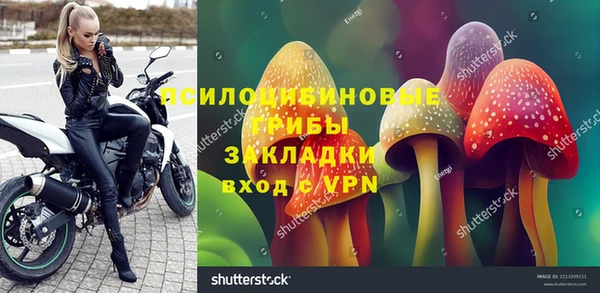 марки nbome Богданович
