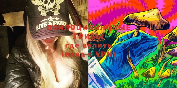 COCAINE Богородицк