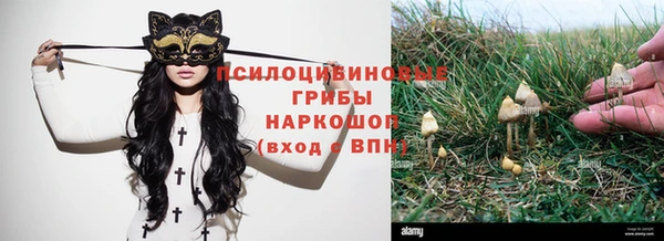 MESCALINE Аркадак