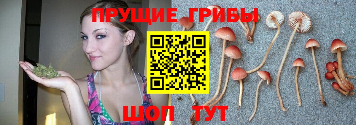 Галлюциногенные грибы Magic Shrooms Кировск