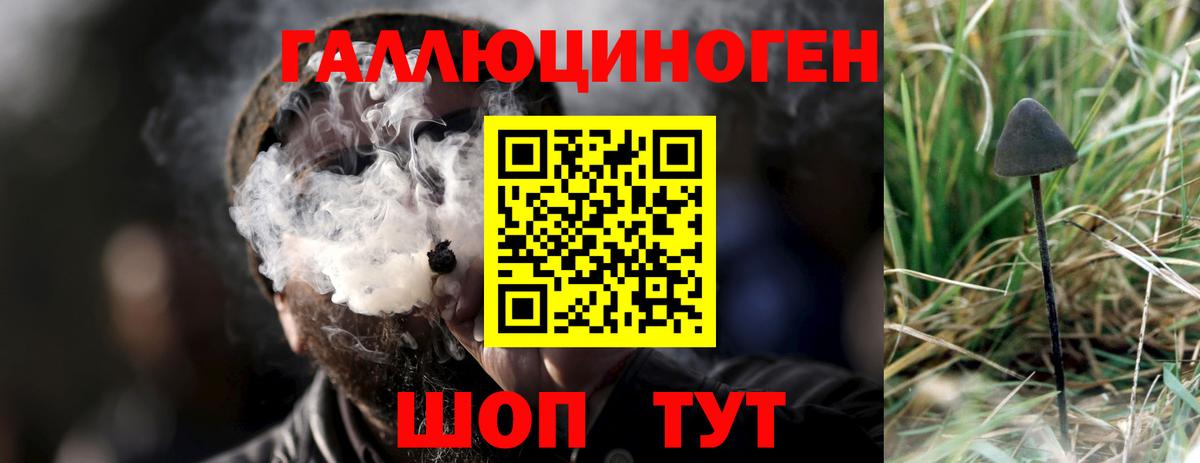 Галлюциногенные грибы ЛСД  Вход с VPN  Кировск 